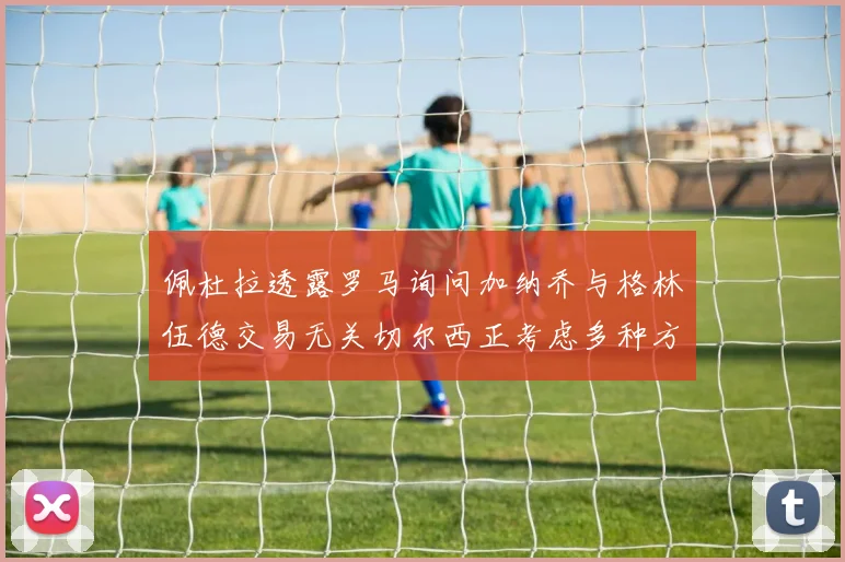 佩杜拉透露罗马询问加纳乔与格林伍德交易无关切尔西正考虑多种方案