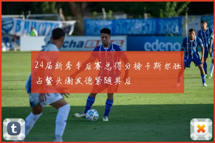24届新秀季后赛总得分榜卡斯尔独占鳌头谢泼德紧随其后